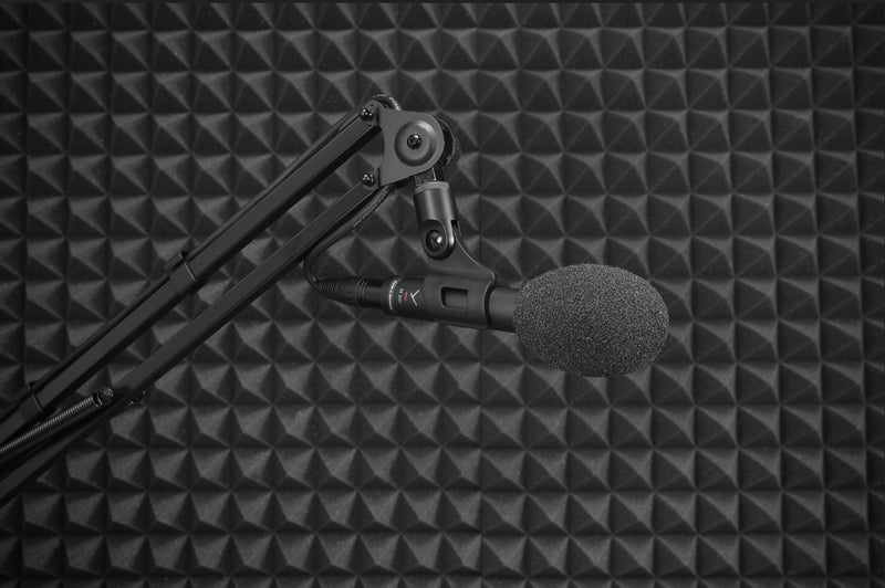 M 201 - A Go-to Microphone for Studio and Stage