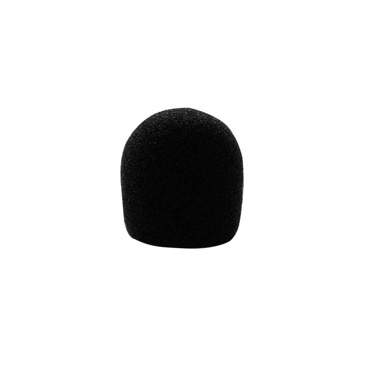 WS 10 Wind shield 