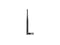 front ca q11 1