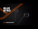 Blue BYRD (2nd GEN) Wireless Headset with Multipoint Bluetooth